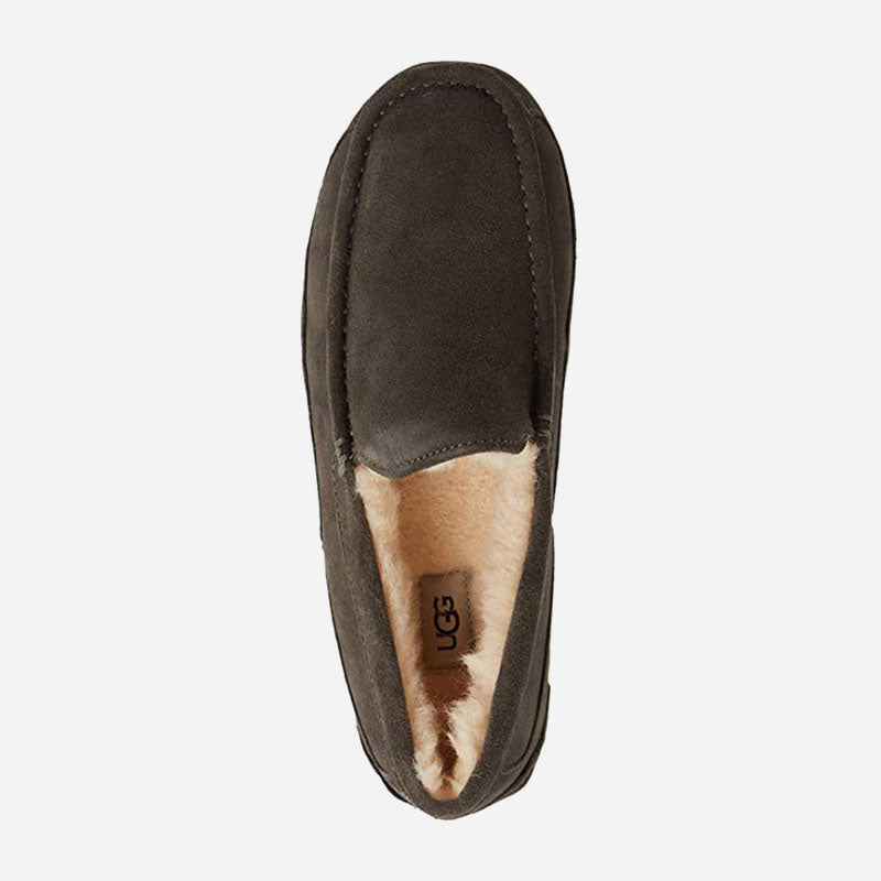 Ugg Men's Ascot